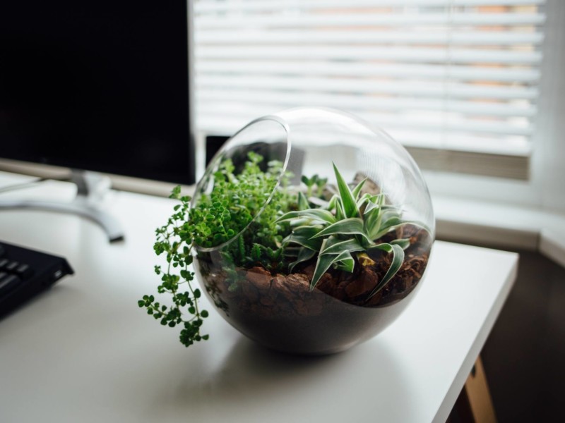 Ecological System in Office